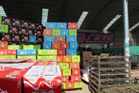 公司風采